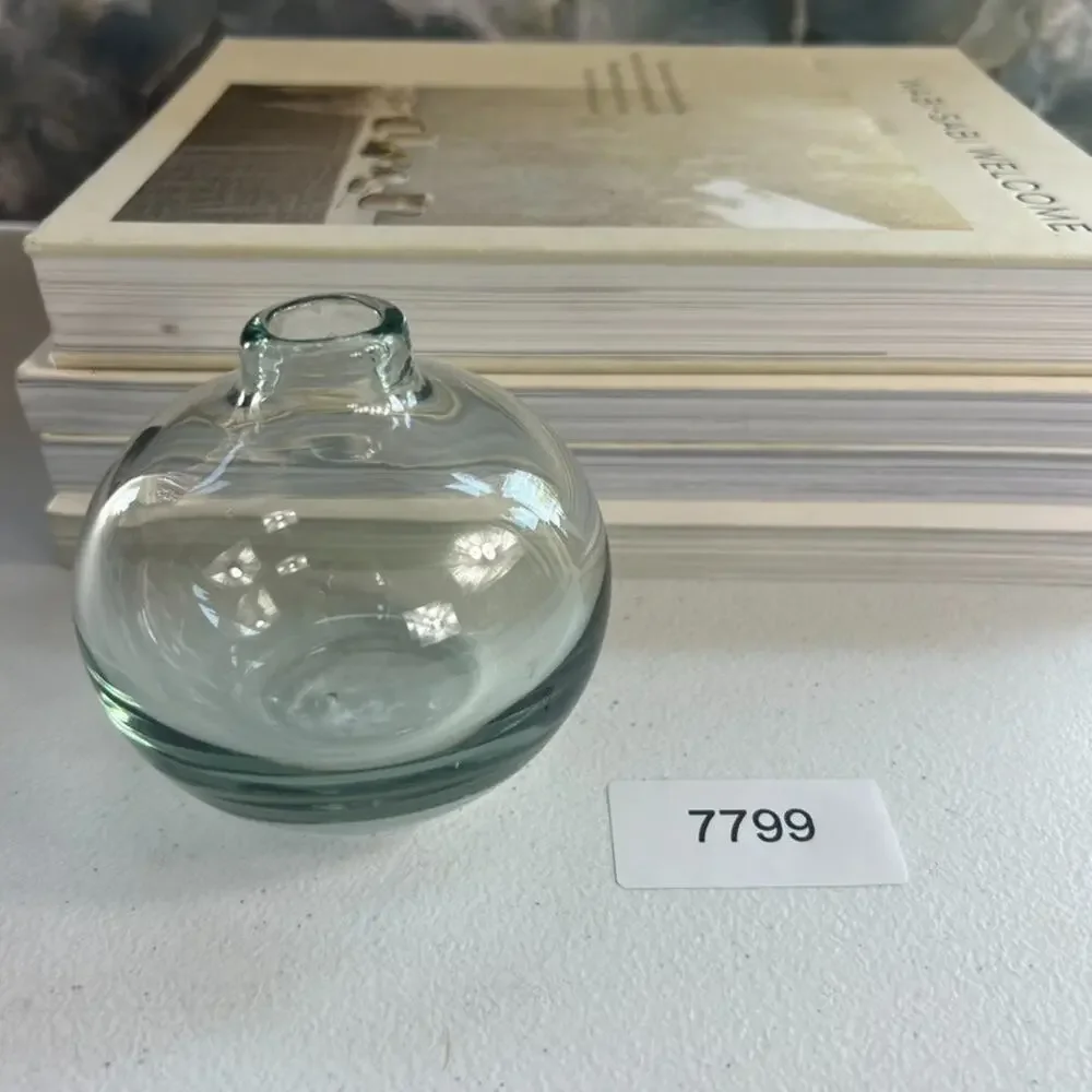 Handblown Glass Clear Sphere Vase 3.5